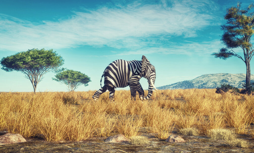 ToF Behang natuur olifant met zebraprint