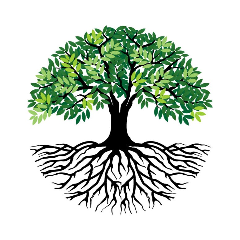 ToF Behang bomen boom getekend met wortels