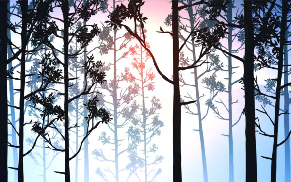 ToF Behang bos bomen getekend met blauwe achtergrond