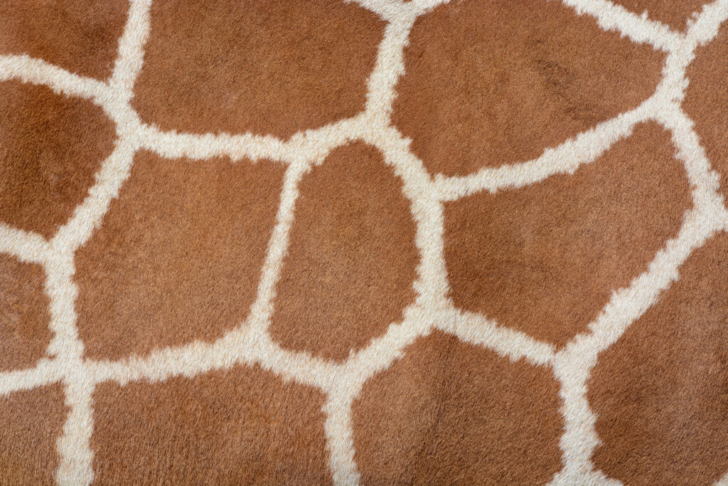 ToF Fotobehang giraffe-print close-up van huid