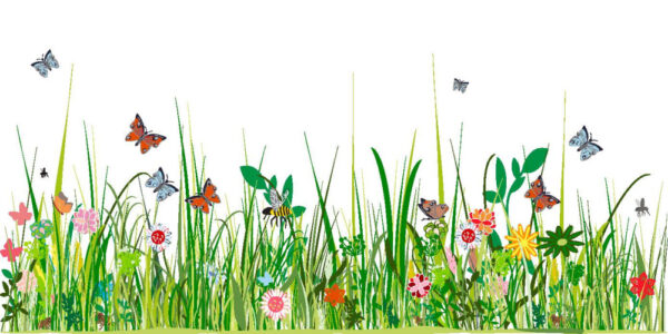 ToF Behang natuur gras met bloemen en vlinders