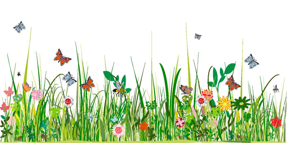 ToF Behang natuur gras met bloemen en vlinders