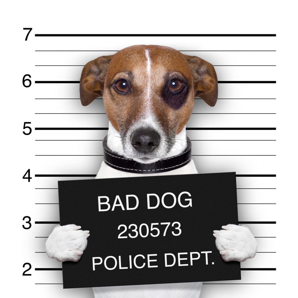 ToF Behang hond afgebeeld als crimineel
