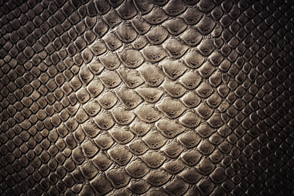 ToF Fotobehang wilde dieren close-up huid krokodil