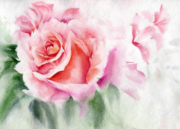 ToF Behang roos getekend roze
