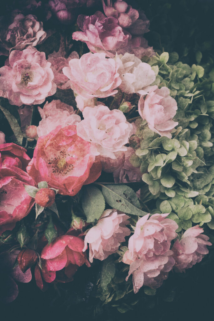 ToF Behang vintage rozen roze