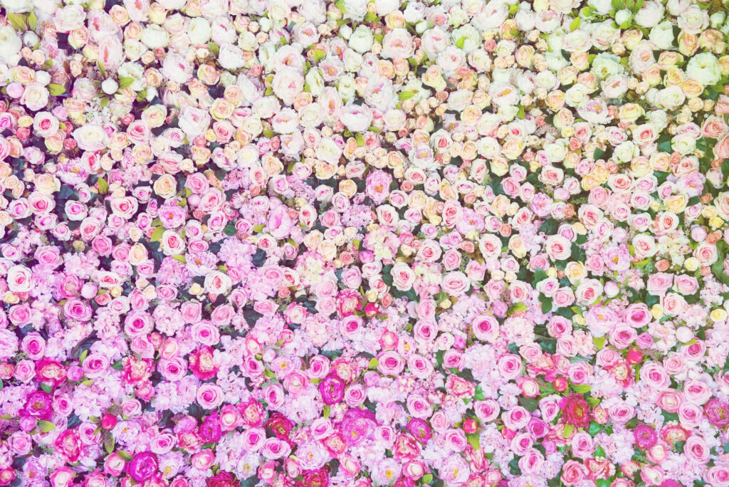 ToF Behang rozen overloop van wit naar roze