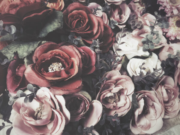 ToF Behang vintage rozen rood en roze