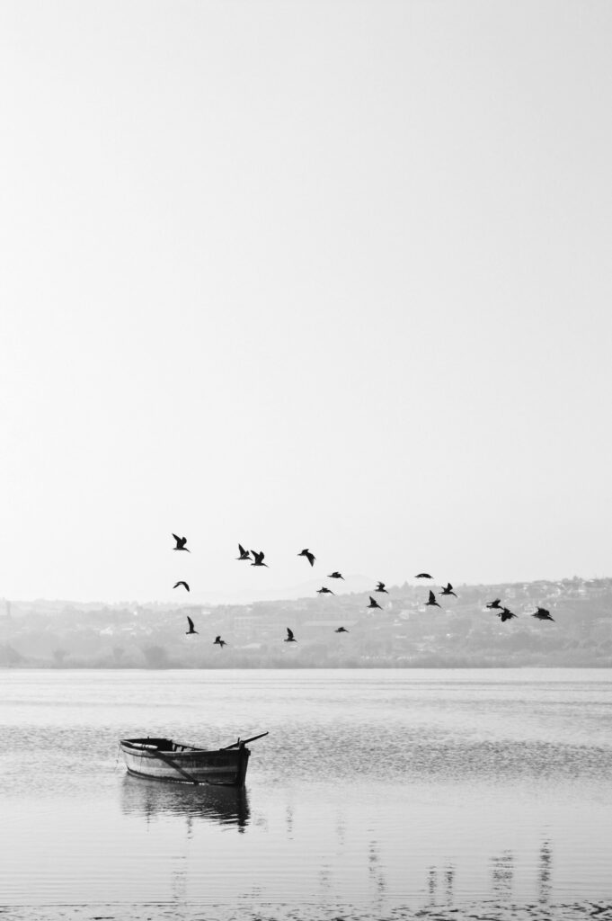 ToF Fotobehang vogels  vliegend boven  meer met boot in zwart-wit