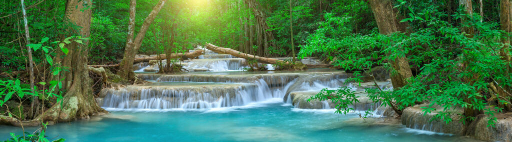 ToF Behang bos met een waterval