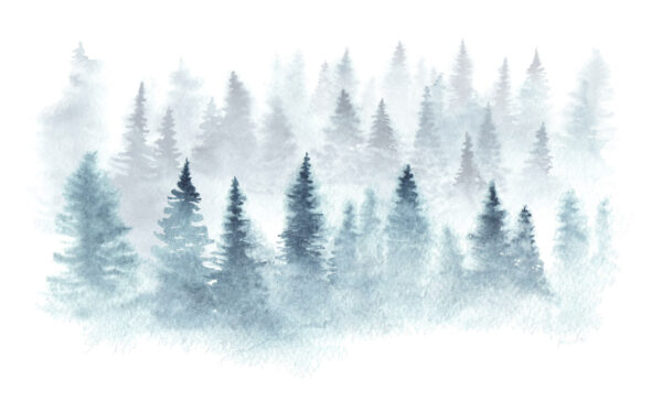 ToF Behang winter dennebomen met sneeuw getekend
