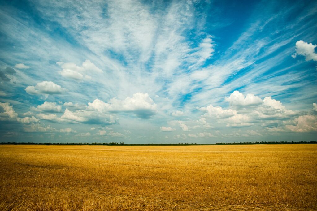 ToF Behang wolkenlucht met graanveld