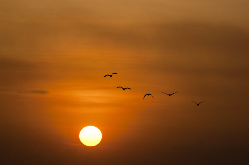 ToF Behang zonsondergang oranje lucht