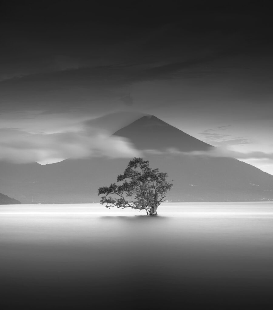 ToF Fotobehang zwart-wit berg met op voorgrond boom