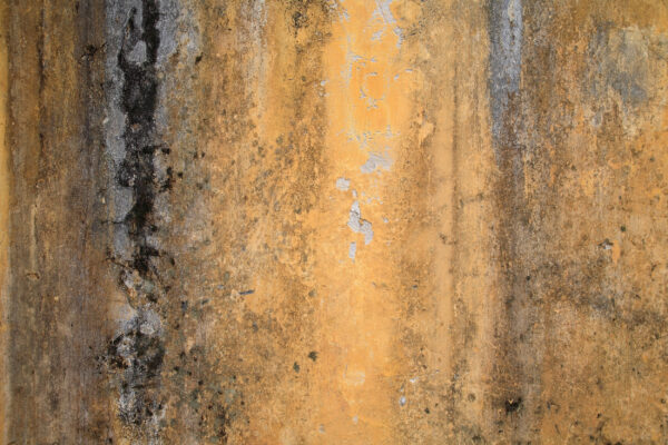 ToF Behang betonlook donkergeel roest