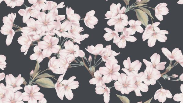 ToF Behang bloemen sakura donkere achtergrond