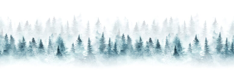 ToF Behang bos met mist getekend