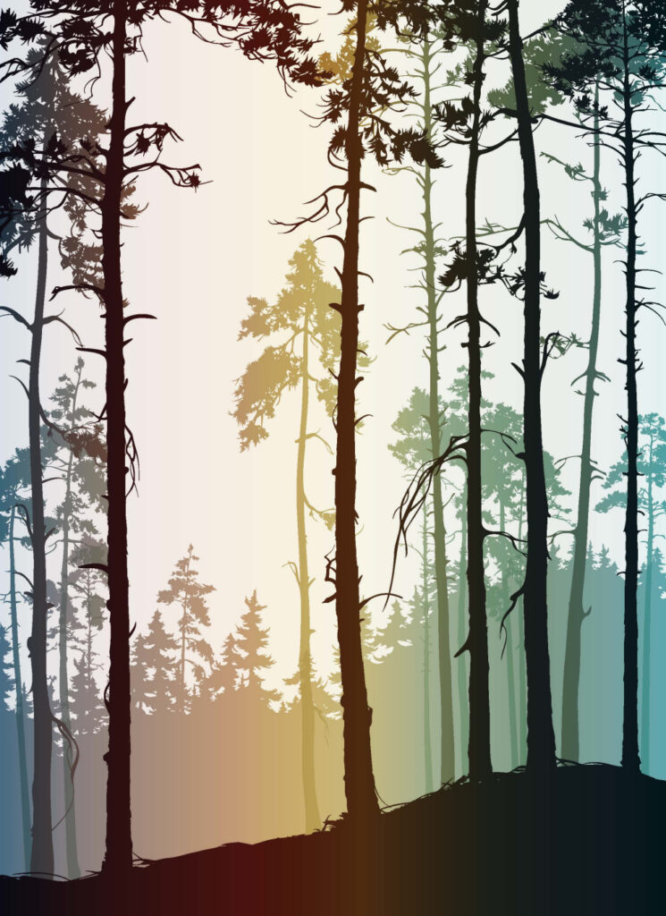 ToF Behang bos bomen getekend met kleurige achtergrond
