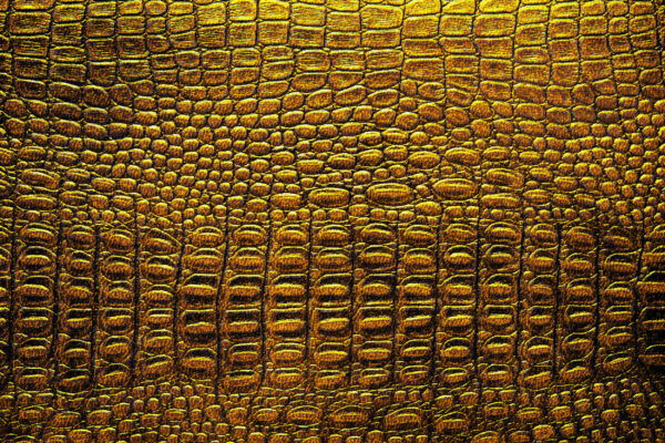 ToF Behang natuur alligator patroon achtergrond