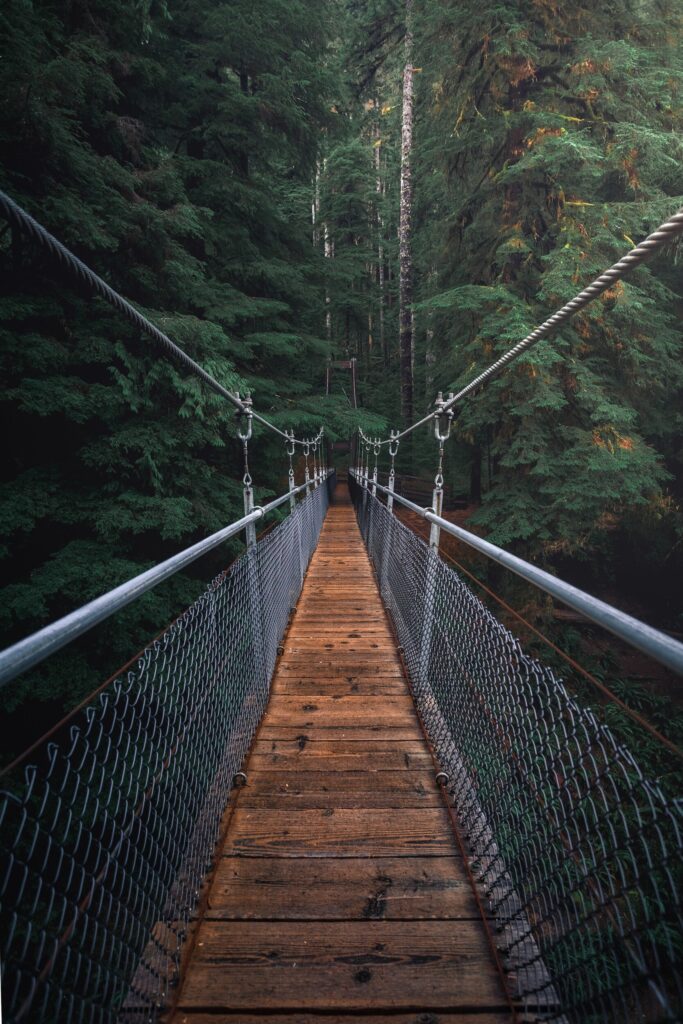 ToF Fotobehang brug planken in het bos
