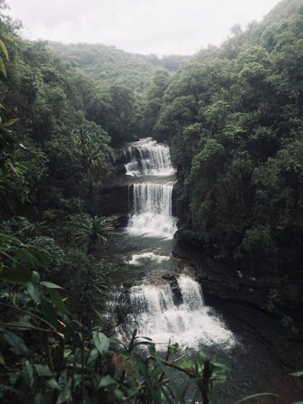 ToF Fotobehang waterval in jungle