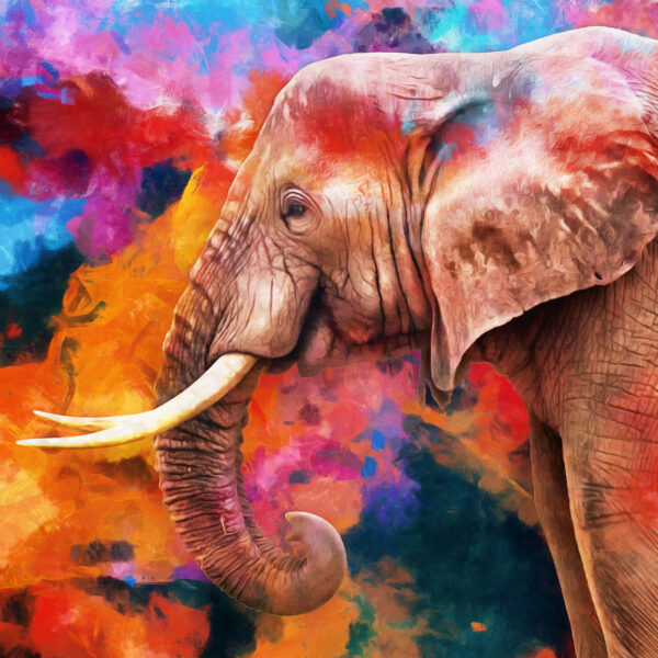 ToF Behang olifant kleurrijk schilderij met olifant