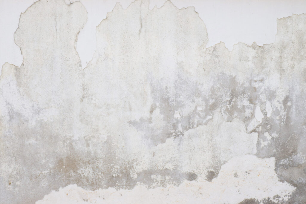 ToF Fotobehang betonnen muur wit met vlekken