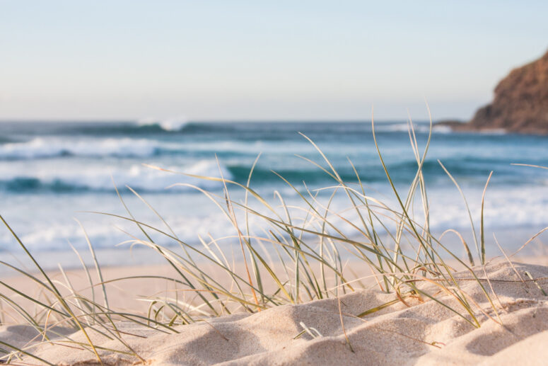 ToF Fotobehang strand met droog gras