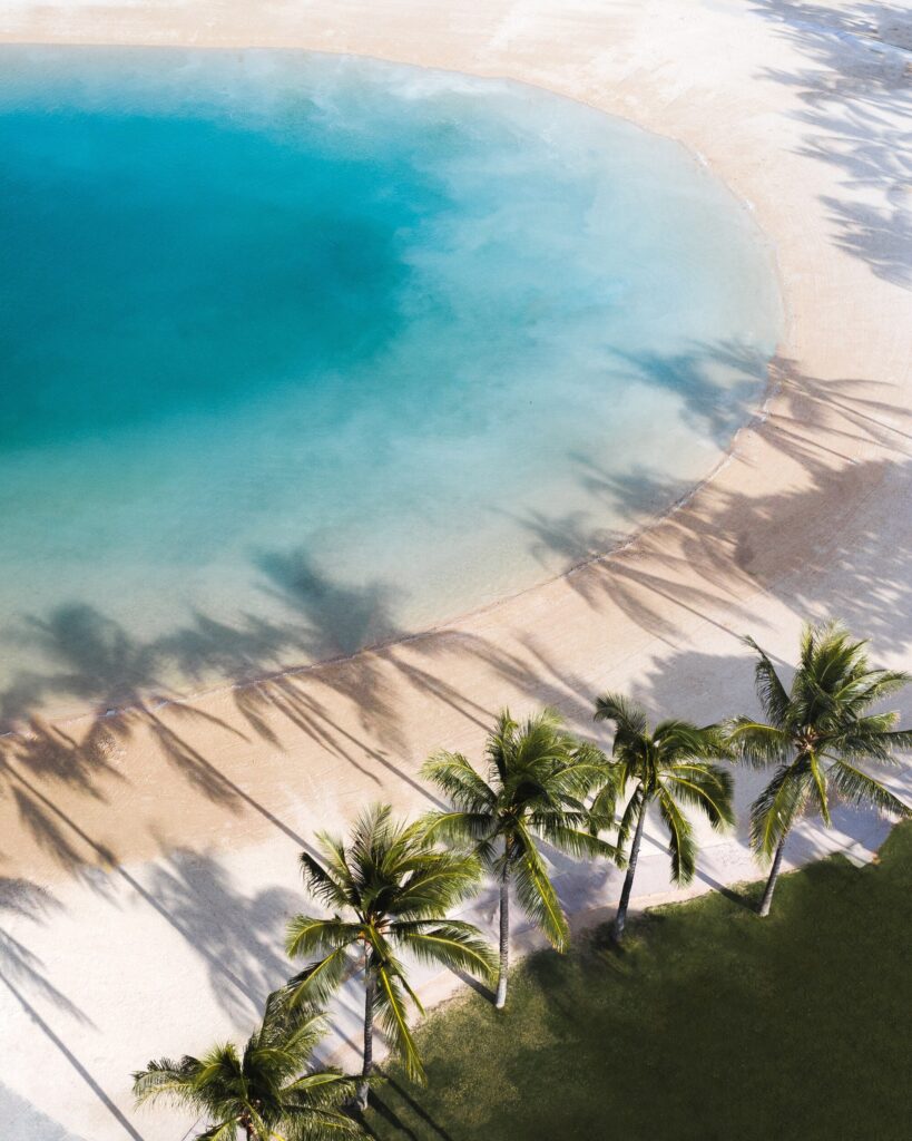 ToF Fotobehang strand met palmbomen bovenaanzicht