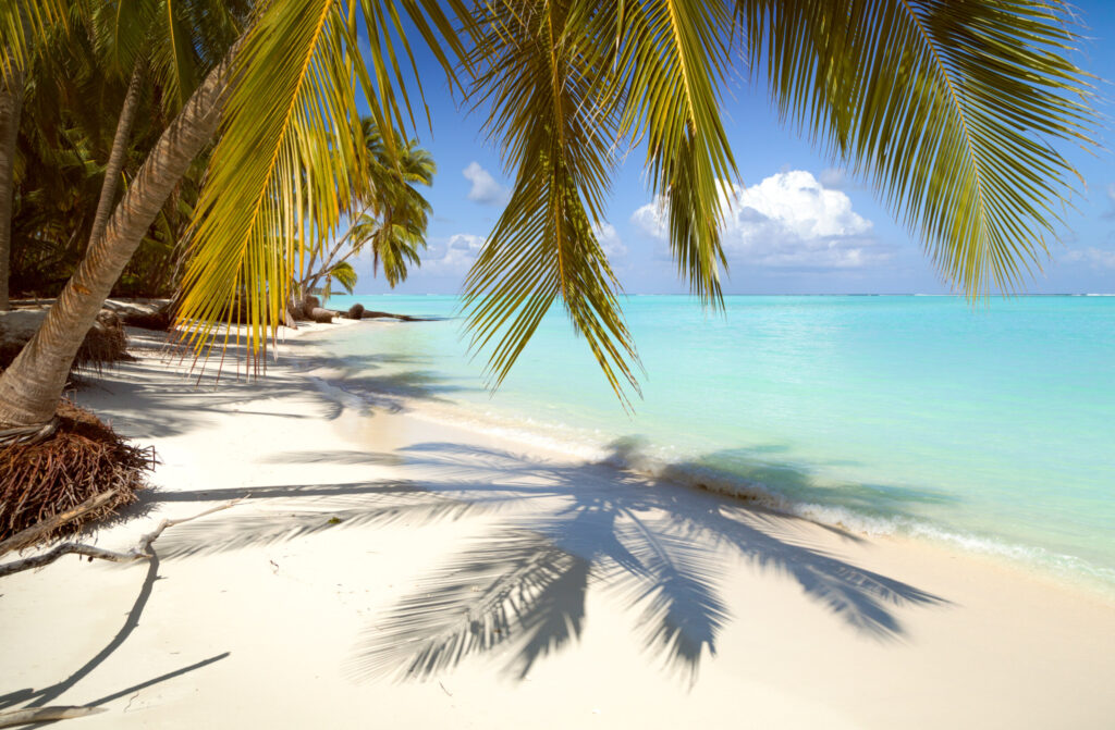 ToF Fotobehang strand tropisch met palmbomen