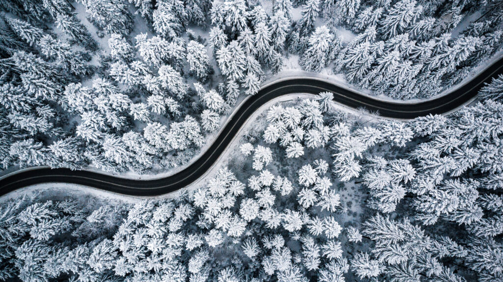 ToF Fotobehang winter weg door besneeuwd bos