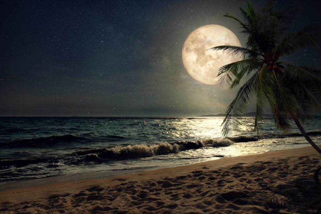 ToF Fotobehang strand met volle maan