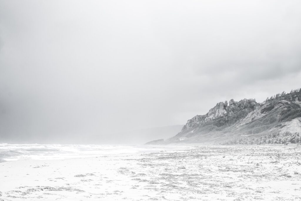 ToF Fotobehang zwart-wit strand met duinen