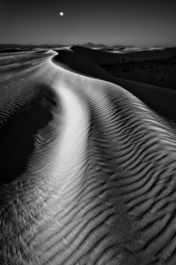 ToF Fotobehang zwart-wit woestijn met zandduinen