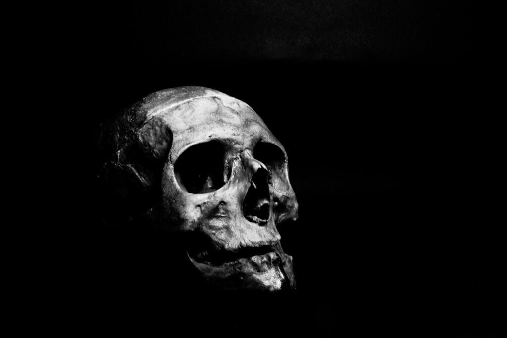 ToF Fotobehang zwart-wit schedel