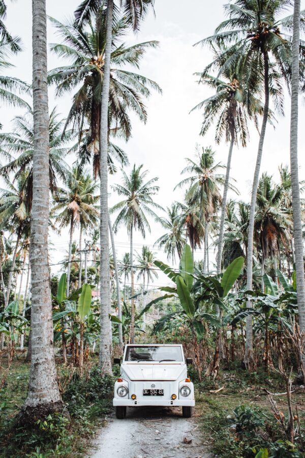 ToF Behang jungle met witte auto