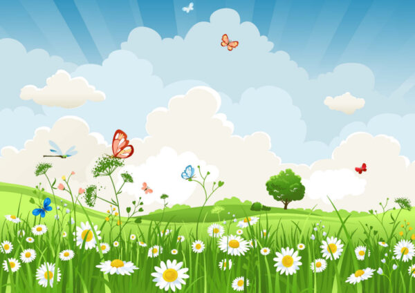 ToF Behang natuur met blauwe lucht gras en bloemen