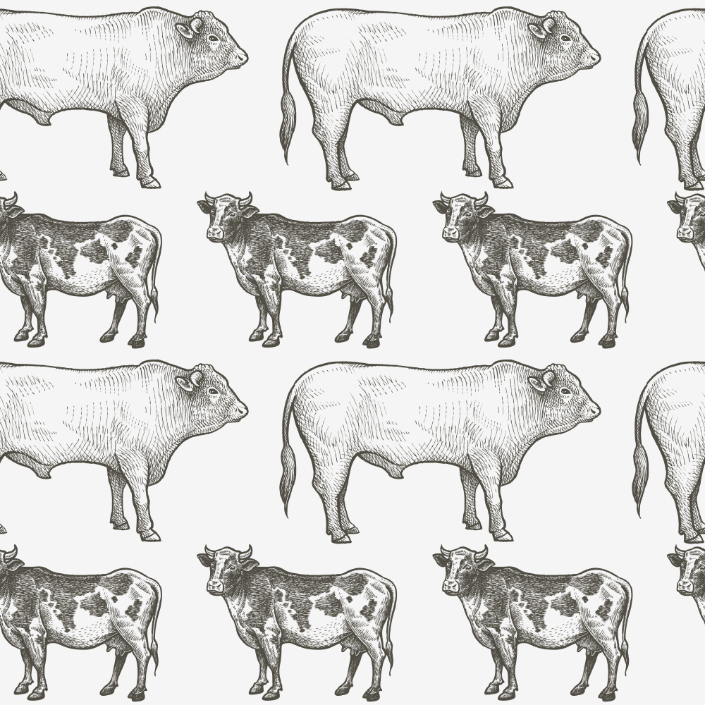 ToF Behang koe illustratie verschillende koeien zwart-wit