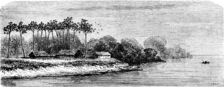 ToF Behang natuur getekend in zwart-wit