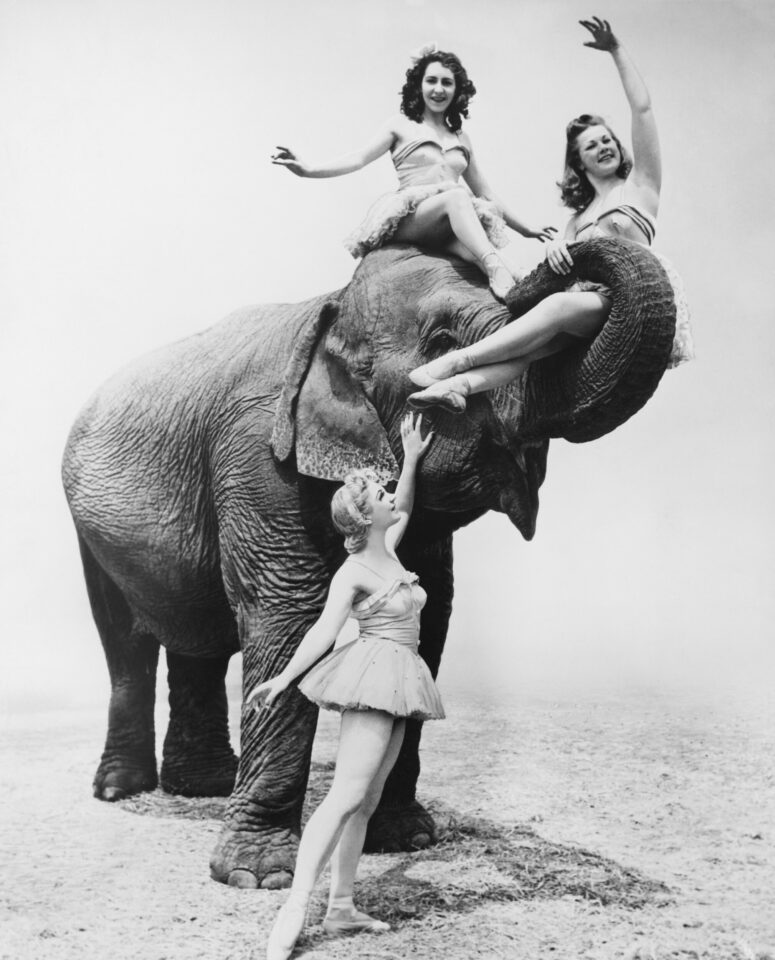 ToF Behang olifanten zwart-wit foto van olifant met drie vrouwen in circusstijl