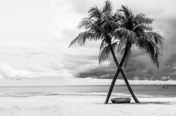 ToF Fotobehang landschap mooi strand in Thailand zwart-wit