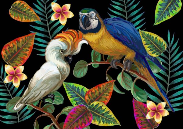 ToF Behang papegaaien illustratie in meerdere kleuren