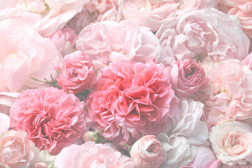 ToF Behang pioenrozen roze