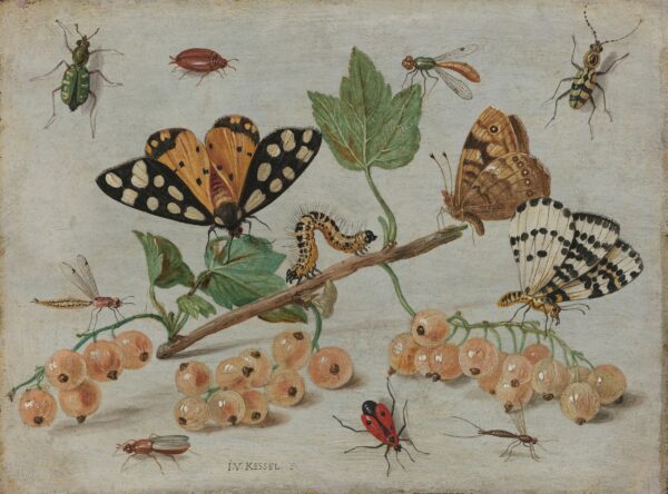 ToF Fotobehang kunst Insecten en vruchten, Jan van Kessel (I)