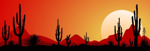 ToF Behang bloemen zonsondergang Mexicaanse woestijn