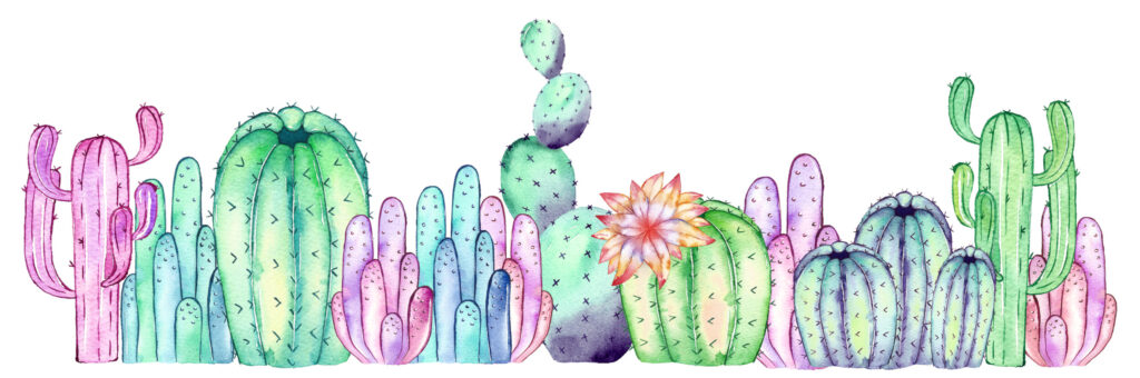 ToF Behang cactus aquarel
