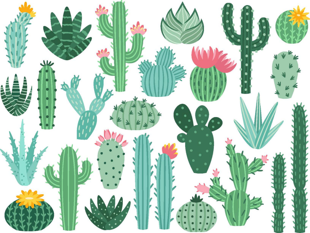 ToF Behang planten Mexicaanse cactus en aloë