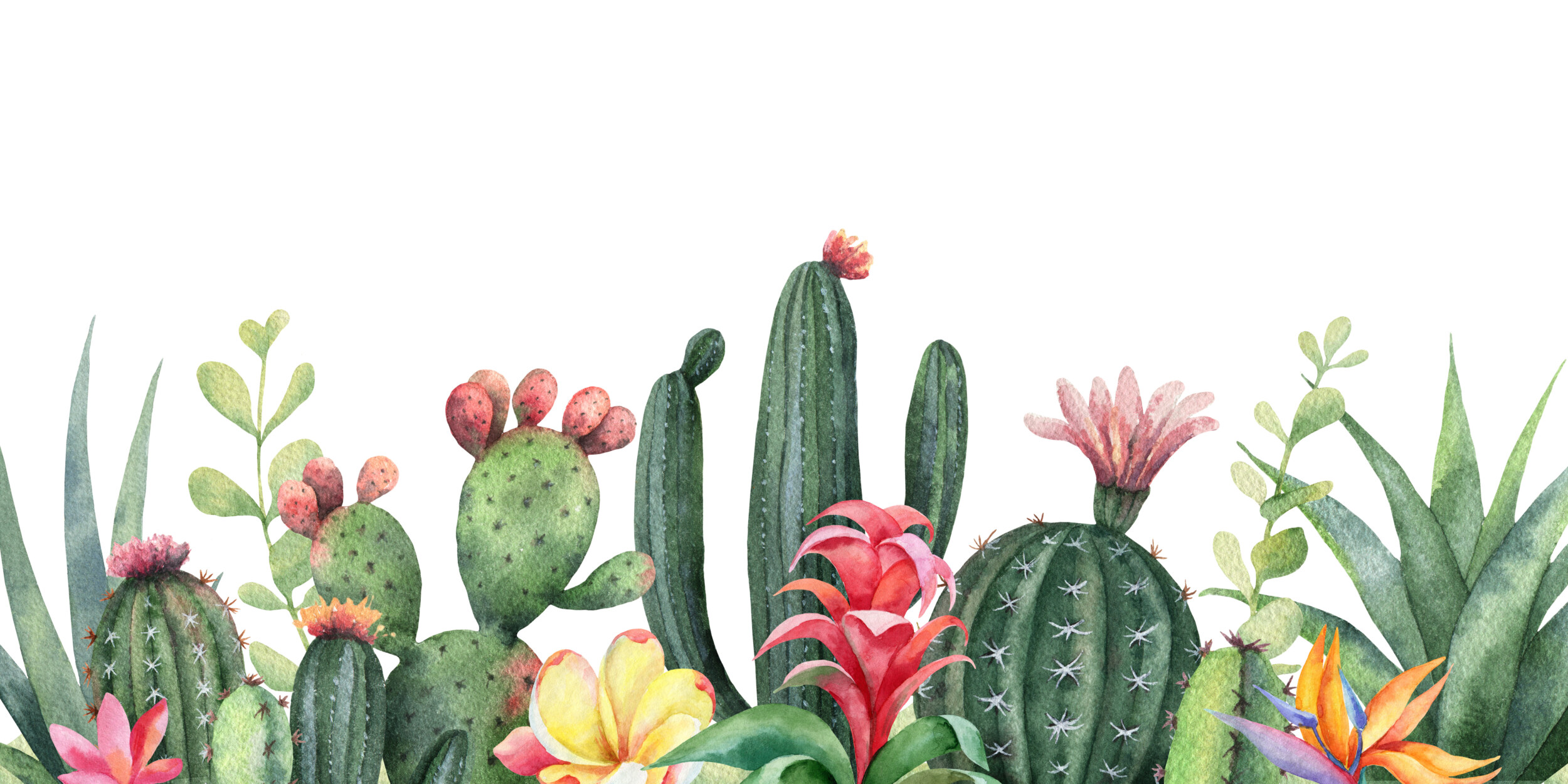 Behang bloemen en cactussen op witte | ToF je muur