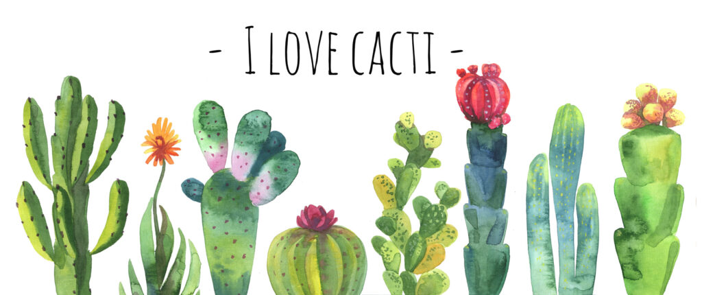 ToF Behang cactus aquarel illustratie