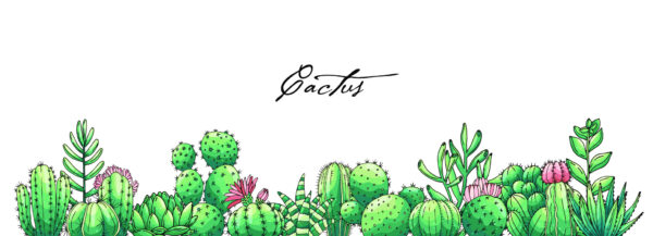 ToF Behang bloemen poster met handgetekende gekleurde letters, cactussen en vetplanten